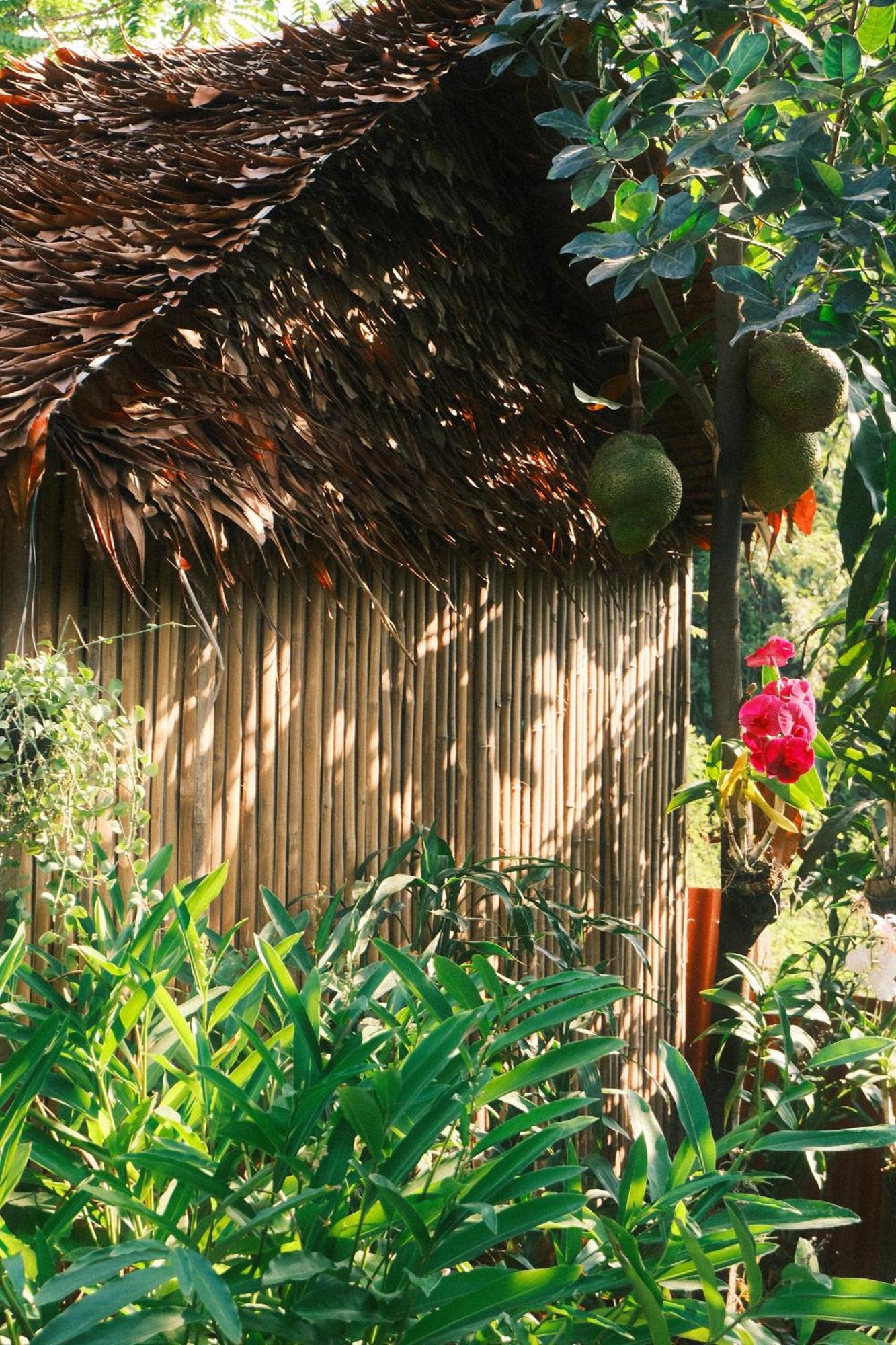 Siem Reap Homesteading II Exterior photo