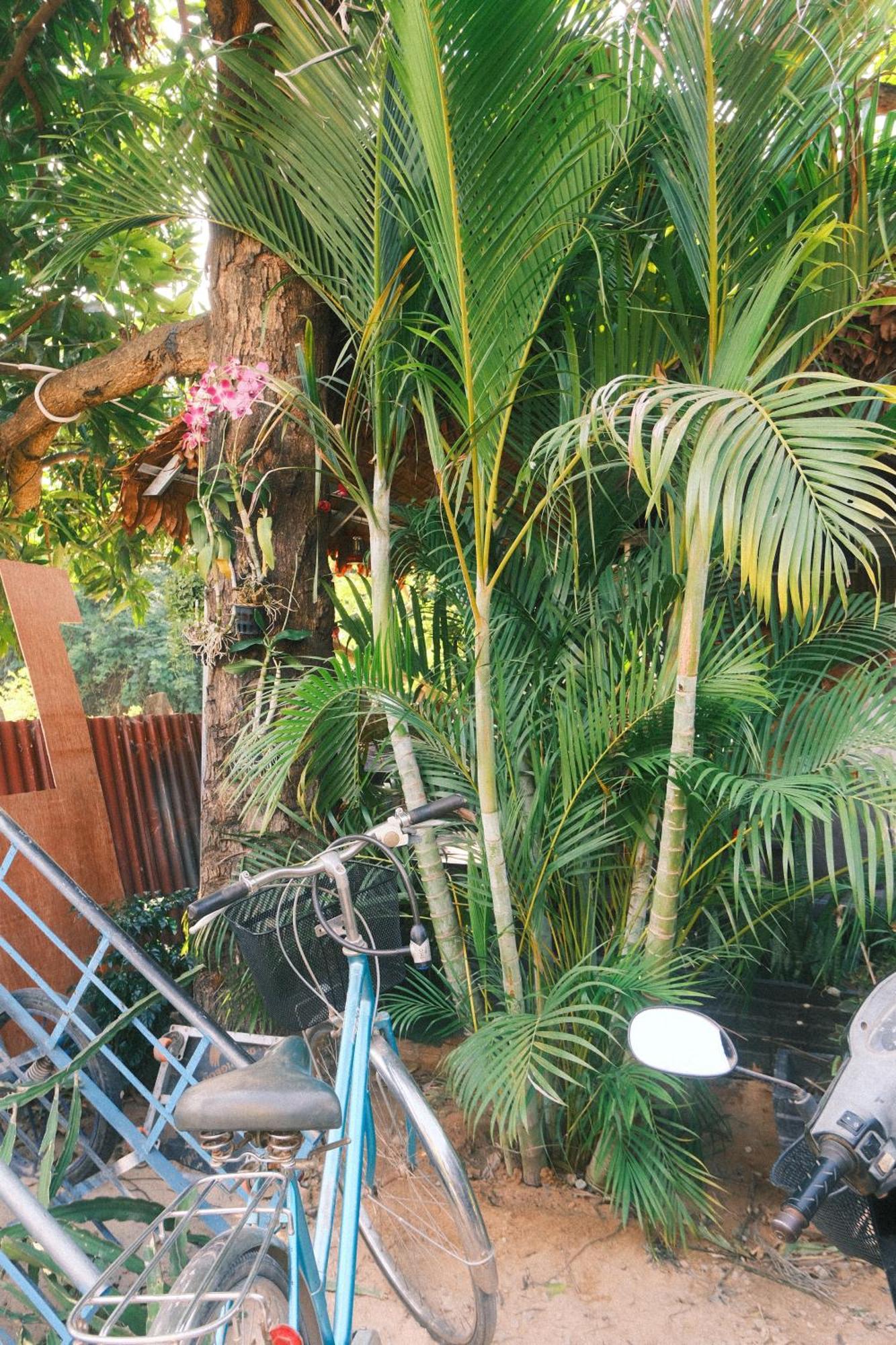 Siem Reap Homesteading II Exterior photo
